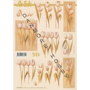 3D ark - Blomster, tulipaner, sand