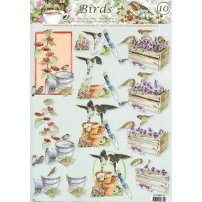 3D ark - Fugle, spurve og svaler