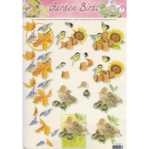 3D ark - Fugle om efterret, and, llinger og musvitter