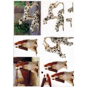 3D ark - Hund, dalmatiner, beagle