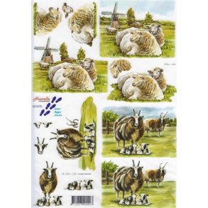 3D ark - Dyr, fr & vdder