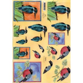 3D ark - Fugle, isfugl & dompap