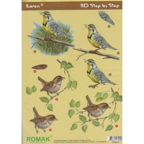 3D ark - Fugle, 2 forskellige motiver