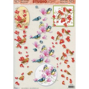 3D ark - Fugle, knne sm fugle