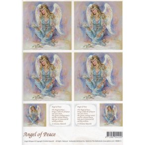 3D ark - Engle, fred