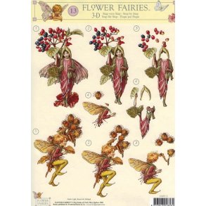 3D ark - Alfer, bure