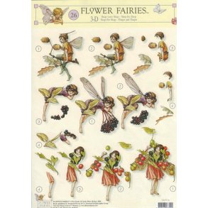 3D ark - Alfer, hyld