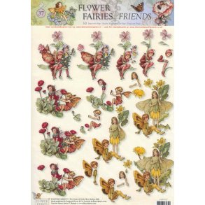 3D ark - Alfer, m�lkeb�tte