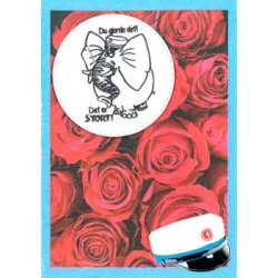 Kort &amp; Kuvertst til HF studenter, A6 str., 8 st