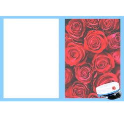 Kort &amp; Kuvertst til HF studenter, A6 str., 8 st