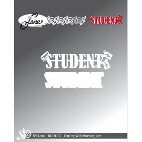 Die/skre stencil, By Lene's 