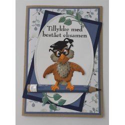 Die/skre stencil, By Lene's ugle, BLD1467