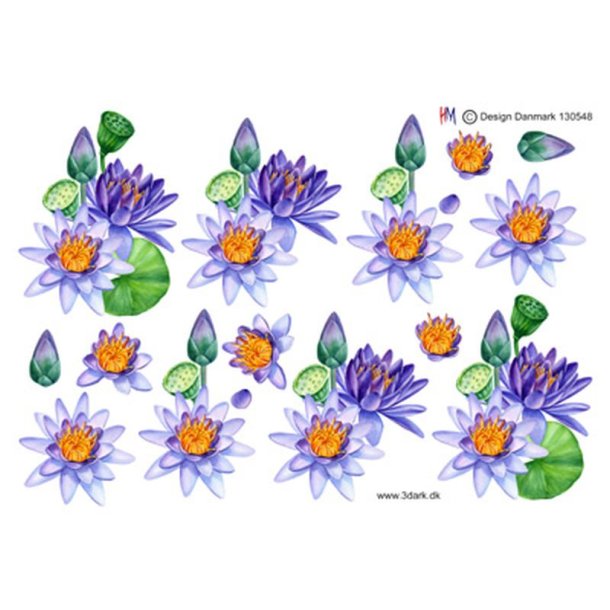 3D klippeark - Blomster, smukke bl-lilla lotus blomster