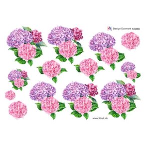 3D klippeark - Blomster, lyserd & lilla hortensia