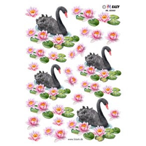 3D ark - Dyr. Fugle, smuk sort svane blandt kander